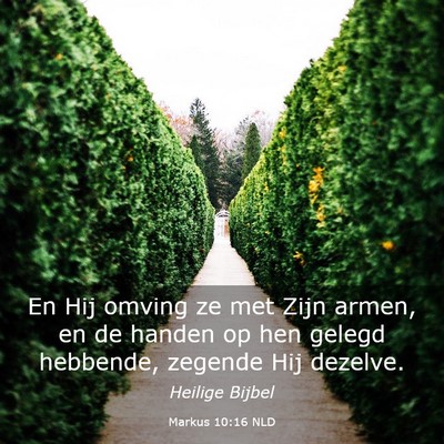 Picture 03 - Markus 10:16 NLD - En Hij omving ze met Zijn armen, en de handen op - Bible Verse Picture