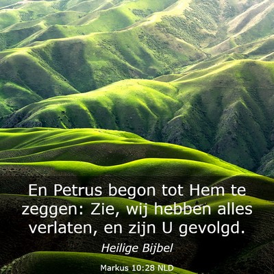 Picture 03 - Markus 10:28 NLD - En Petrus begon tot Hem te zeggen: Zie, wij - Bible Verse Picture