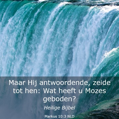 Picture 03 - Markus 10:3 NLD - Maar Hij antwoordende, zeide tot hen: Wat heeft u - Bible Verse Picture