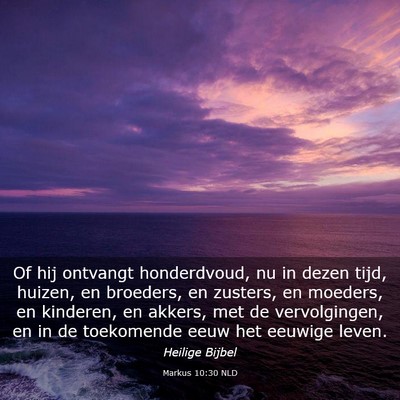 Picture 03 - Markus 10:30 NLD - Of hij ontvangt honderdvoud, nu in dezen tijd, - Bible Verse Picture