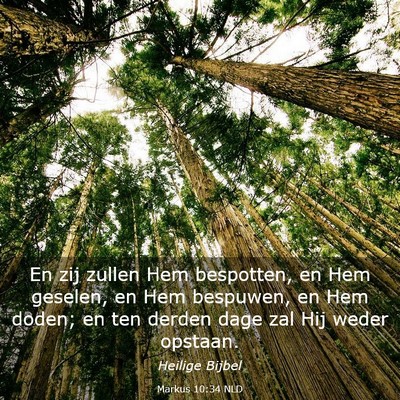 Picture 03 - Markus 10:34 NLD - En zij zullen Hem bespotten, en Hem geselen, en - Bible Verse Picture