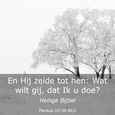 Picture 03 - Markus 10:36 NLD - En Hij zeide tot hen: Wat wilt gij, dat Ik u - Bible Verse Picture