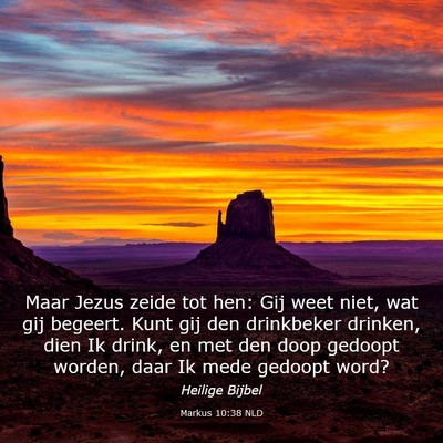 Picture 03 - Markus 10:38 NLD - Maar Jezus zeide tot hen: Gij weet niet, wat gij - Bible Verse Picture
