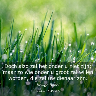 Picture 03 - Markus 10:43 NLD - Doch alzo zal het onder u niet zijn; maar zo wie - Bible Verse Picture