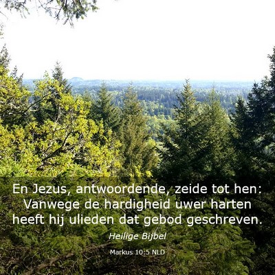 Picture 03 - Markus 10:5 NLD - En Jezus, antwoordende, zeide tot hen: Vanwege de - Bible Verse Picture