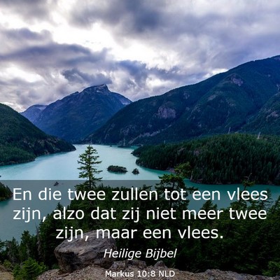 Picture 03 - Markus 10:8 NLD - En die twee zullen tot een vlees zijn, alzo dat - Bible Verse Picture