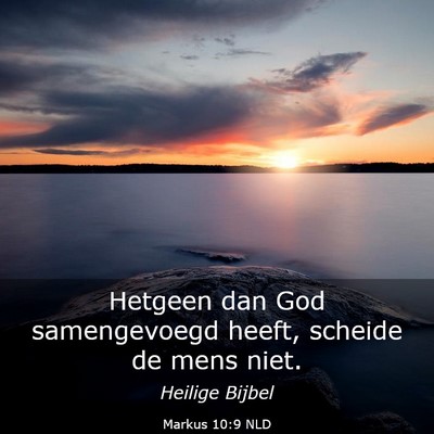Picture 03 - Markus 10:9 NLD - Hetgeen dan God samengevoegd heeft, scheide de - Bible Verse Picture