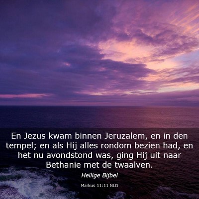 Picture 03 - Markus 11:11 NLD - En Jezus kwam binnen Jeruzalem, en in den tempel; - Bible Verse Picture