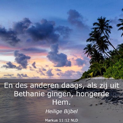 Picture 03 - Markus 11:12 NLD - En des anderen daags, als zij uit Bethanie - Bible Verse Picture