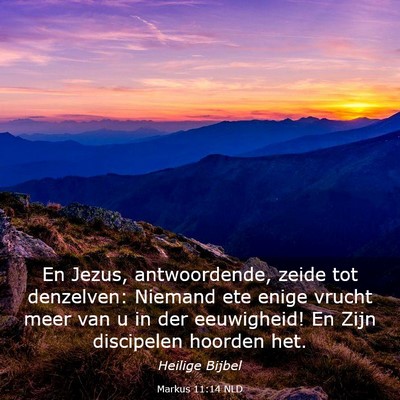 Picture 03 - Markus 11:14 NLD - En Jezus, antwoordende, zeide tot denzelven: - Bible Verse Picture