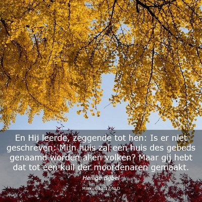 Picture 03 - Markus 11:17 NLD - En Hij leerde, zeggende tot hen: Is er niet - Bible Verse Picture