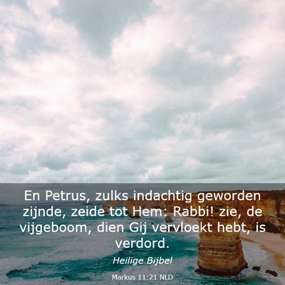 Picture 03 - Markus 11:21 NLD - En Petrus, zulks indachtig geworden zijnde, zeide - Bible Verse Picture