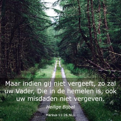 Picture 03 - Markus 11:26 NLD - Maar indien gij niet vergeeft, zo zal uw Vader, - Bible Verse Picture