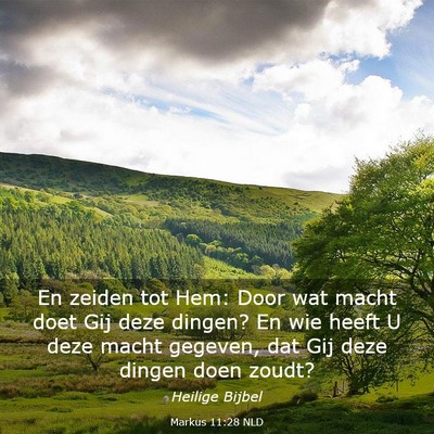 Picture 03 - Markus 11:28 NLD - En zeiden tot Hem: Door wat macht doet Gij deze - Bible Verse Picture