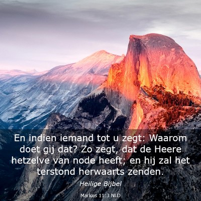 Picture 03 - Markus 11:3 NLD - En indien iemand tot u zegt: Waarom doet gij dat? - Bible Verse Picture