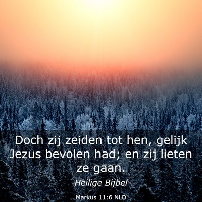 Picture 03 - Markus 11:6 NLD - Doch zij zeiden tot hen, gelijk Jezus bevolen - Bible Verse Picture