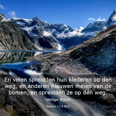 Picture 03 - Markus 11:8 NLD - En velen spreidden hun klederen op den weg, en - Bible Verse Picture