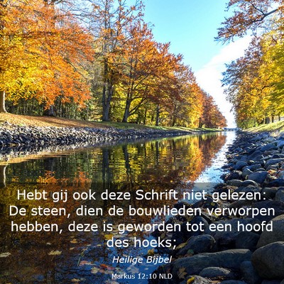 Picture 03 - Markus 12:10 NLD - Hebt gij ook deze Schrift niet gelezen: De steen, - Bible Verse Picture