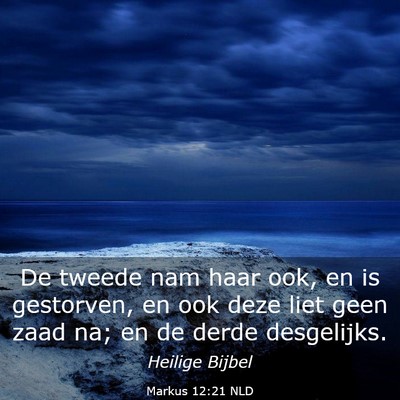 Picture 03 - Markus 12:21 NLD - De tweede nam haar ook, en is gestorven, en ook - Bible Verse Picture
