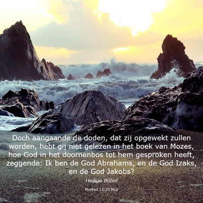 Picture 03 - Markus 12:26 NLD - Doch aangaande de doden, dat zij opgewekt zullen - Bible Verse Picture