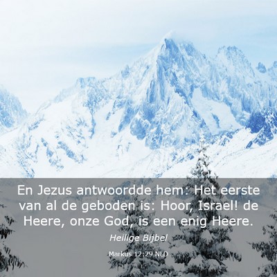 Picture 03 - Markus 12:29 NLD - En Jezus antwoordde hem: Het eerste van al de - Bible Verse Picture