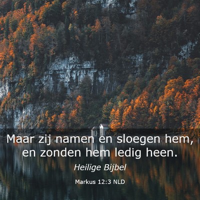 Picture 03 - Markus 12:3 NLD - Maar zij namen en sloegen hem, en zonden hem - Bible Verse Picture
