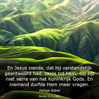Picture 03 - Markus 12:34 NLD - En Jezus ziende, dat hij verstandelijk geantwoord - Bible Verse Picture