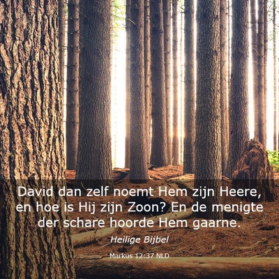 Picture 03 - Markus 12:37 NLD - David dan zelf noemt Hem zijn Heere, en hoe is - Bible Verse Picture