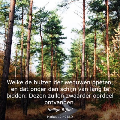Picture 03 - Markus 12:40 NLD - Welke de huizen der weduwen opeten, en dat onder - Bible Verse Picture