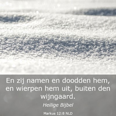 Picture 03 - Markus 12:8 NLD - En zij namen en doodden hem, en wierpen hem uit, - Bible Verse Picture