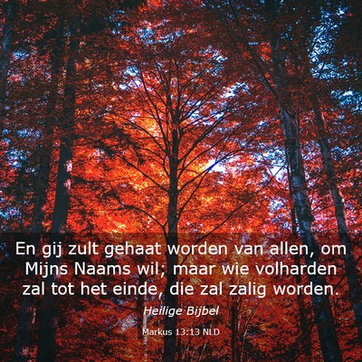 Picture 03 - Markus 13:13 NLD - En gij zult gehaat worden van allen, om Mijns - Bible Verse Picture