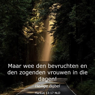 Picture 03 - Markus 13:17 NLD - Maar wee den bevruchten en den zogenden vrouwen - Bible Verse Picture