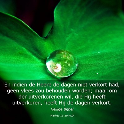 Picture 03 - Markus 13:20 NLD - En indien de Heere de dagen niet verkort had, - Bible Verse Picture