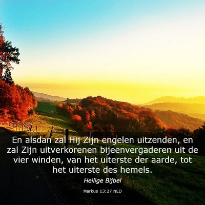 Picture 03 - Markus 13:27 NLD - En alsdan zal Hij Zijn engelen uitzenden, en zal - Bible Verse Picture