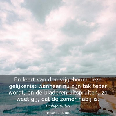 Picture 03 - Markus 13:28 NLD - En leert van den vijgeboom deze gelijkenis; - Bible Verse Picture