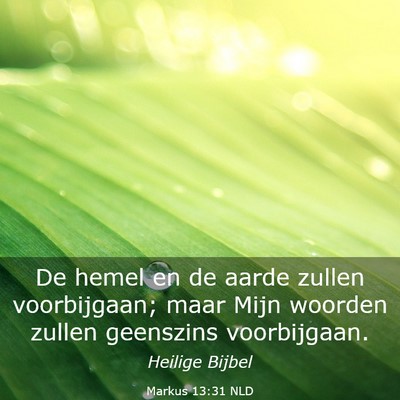 Picture 03 - Markus 13:31 NLD - De hemel en de aarde zullen voorbijgaan; maar - Bible Verse Picture