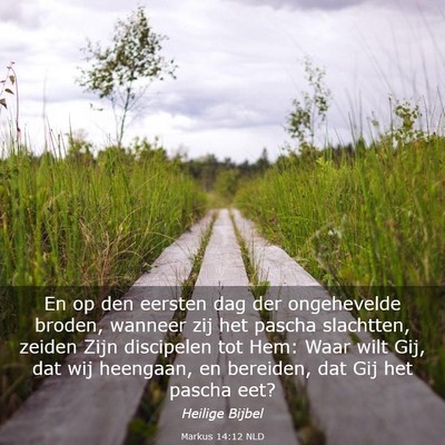 Picture 03 - Markus 14:12 NLD - En op den eersten dag der ongehevelde broden, - Bible Verse Picture
