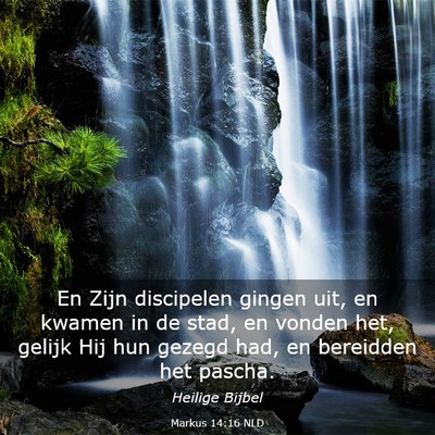Picture 03 - Markus 14:16 NLD - En Zijn discipelen gingen uit, en kwamen in de - Bible Verse Picture
