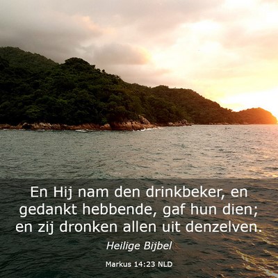Picture 03 - Markus 14:23 NLD - En Hij nam den drinkbeker, en gedankt hebbende, - Bible Verse Picture