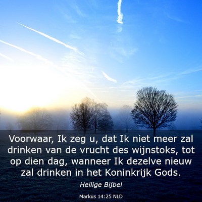 Picture 03 - Markus 14:25 NLD - Voorwaar, Ik zeg u, dat Ik niet meer zal drinken - Bible Verse Picture