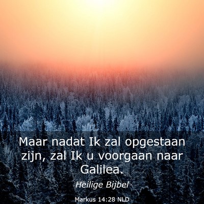Picture 03 - Markus 14:28 NLD - Maar nadat Ik zal opgestaan zijn, zal Ik u - Bible Verse Picture