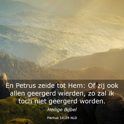 Picture 03 - Markus 14:29 NLD - En Petrus zeide tot Hem: Of zij ook allen - Bible Verse Picture
