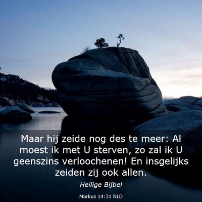 Picture 03 - Markus 14:31 NLD - Maar hij zeide nog des te meer: Al moest ik met U - Bible Verse Picture