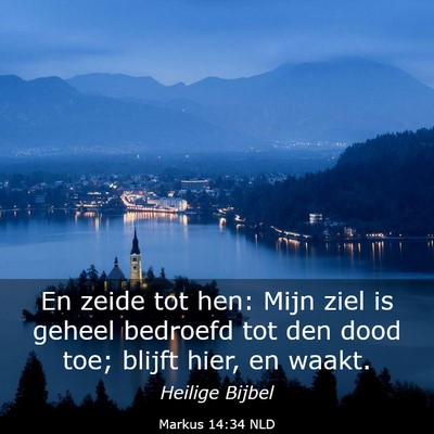 Picture 03 - Markus 14:34 NLD - En zeide tot hen: Mijn ziel is geheel bedroefd - Bible Verse Picture