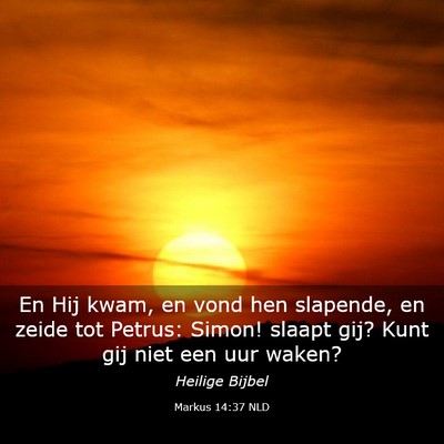 Picture 03 - Markus 14:37 NLD - En Hij kwam, en vond hen slapende, en zeide tot - Bible Verse Picture