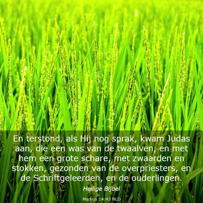 Picture 03 - Markus 14:43 NLD - En terstond, als Hij nog sprak, kwam Judas aan, - Bible Verse Picture