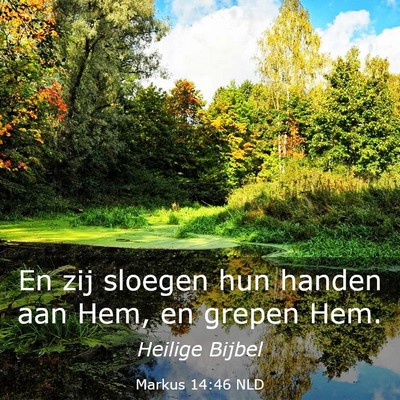 Picture 03 - Markus 14:46 NLD - En zij sloegen hun handen aan Hem, en grepen - Bible Verse Picture