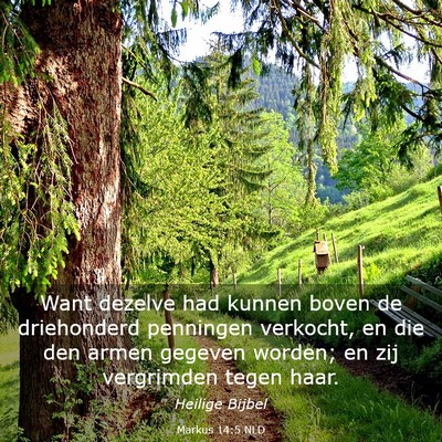 Picture 03 - Markus 14:5 NLD - Want dezelve had kunnen boven de driehonderd - Bible Verse Picture