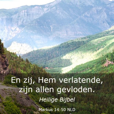 Picture 03 - Markus 14:50 NLD - En zij, Hem verlatende, zijn allen - Bible Verse Picture
