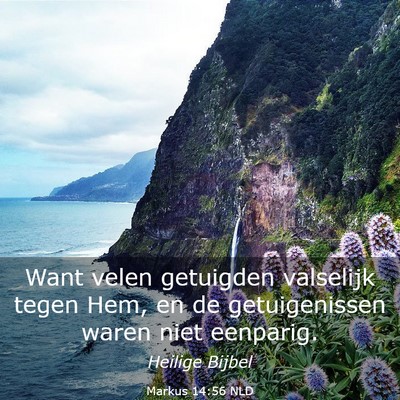 Picture 03 - Markus 14:56 NLD - Want velen getuigden valselijk tegen Hem, en de - Bible Verse Picture